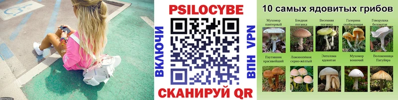 наркота  Семилуки  Галлюциногенные грибы Psilocybine cubensis 
