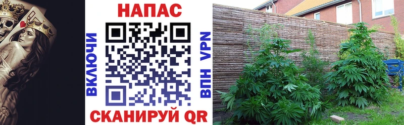 Каннабис Ganja  omg онион  Семилуки 